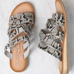 Coconuts Matisse Ladylike Snakeskin Sandals